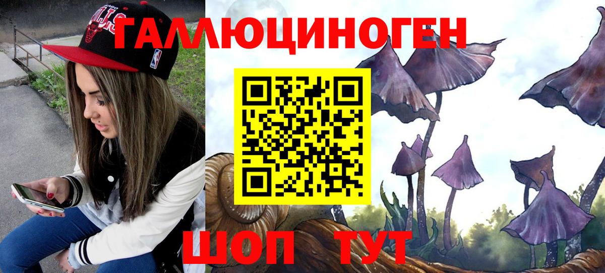 Коммунар  Галлюциногенные грибы Magic Shrooms  Псилоцибиновые грибы мицелий  Вход с VPN 